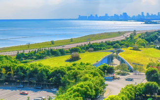 �Ϸ�̫������2007��վ����ɭ�ֹ�԰