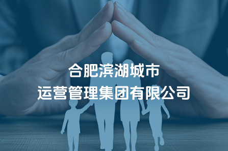 �Ϸ�̫������2007��վ������Ӫ�����������޹�˾