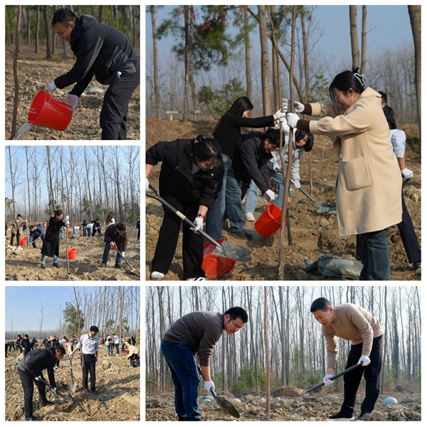 ̫������2007��վ(�й�)���޹�˾����