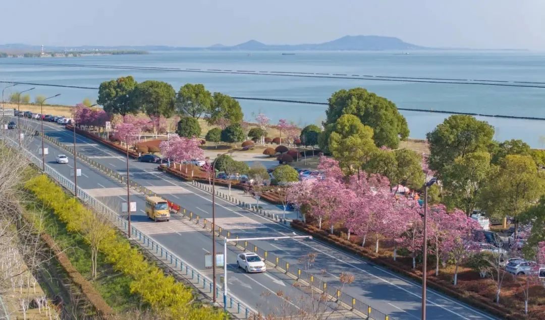 Ì«Ñô¼¯ÍÅ2007ÍøÕ¾(Öйú)ÓÐÏÞ¹«Ë¾¹ÙÍø