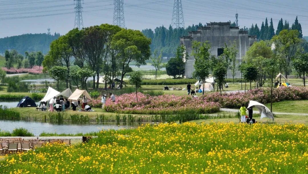 Ì«Ñô¼¯ÍÅ2007ÍøÕ¾(Öйú)ÓÐÏÞ¹«Ë¾¹ÙÍø