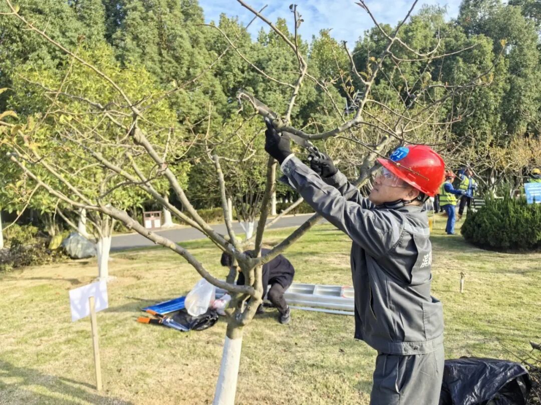 ̫������2007��վ(�й�)���޹�˾����