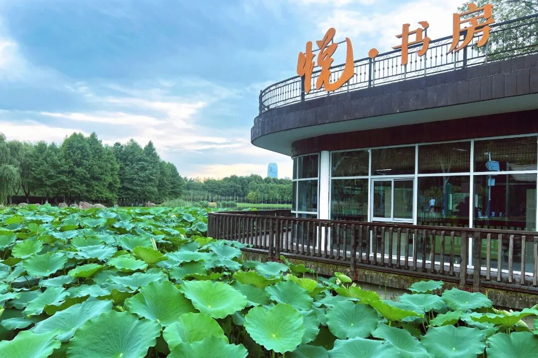 ̫������2007��վ(�й�)���޹�˾����